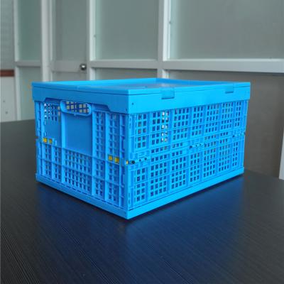 China Solid Box Customized Foldable Plastic Movable Fruit Box Soda / Plastic Tomato Crate for sale