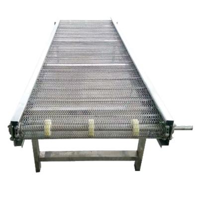 China Logistics Gravity Conveyor Belt Supplier Metal Mesh Conveyor Belt Stainless Steel Mesh Conveyor Belt zu verkaufen