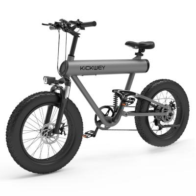 China Full Suspension Aluminum Alloy Frame 1000W Mid Motor Fat Tire Electric Bicycle for sale