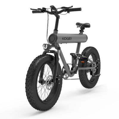 China New style ebike aluminum alloy ebike 1000w full suspension electric offroad fat tire electric bike for sale