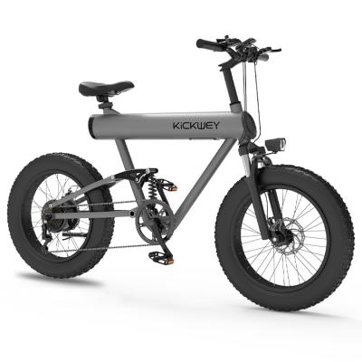 China Aluminum alloy 48V 1000Watt 20 inch fast electric bicycle, fat folding type non ebike, electric fat bike with high quality for sale