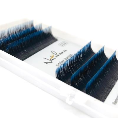 China NATUHANA Long New Wholesale Price Ombra Color Eyelash Extension Natural Private Label And Best Quality Bulk Korean Silk Eyelash Extension for sale