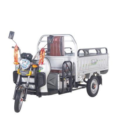 China 2019 Big Cheap Cargo Trike Cargo Three Wheeler Cargo Charging Electric Tricycle For Sale for sale