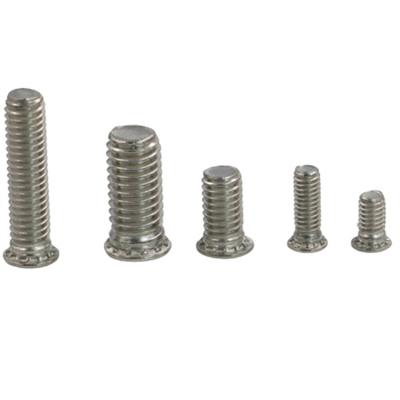 China Durable Customized Stainless Steel Flat Head Pressure Riveting Screws Sheet Metal Panel Fasteners for sale