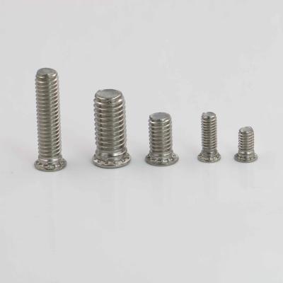 China Durable High Quality Flat Head Self Stud Riveting Stainless Steel Self Stud Riveting Machine Screws For Metal Sheet for sale