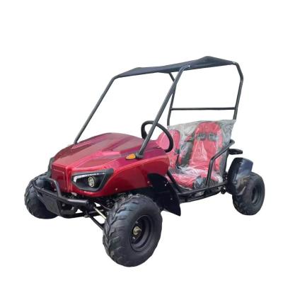 China Shaft Transmission 1000W Electric Go Kart 2 Seat 60V Buggy for Teenager for sale