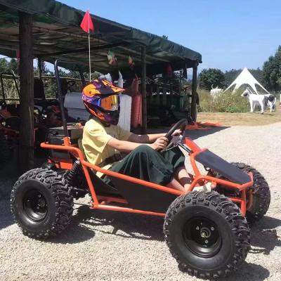 China Amusement Park Rental Golf Buggy Cart with 1000W Brushless Motor and EEC Certification for sale