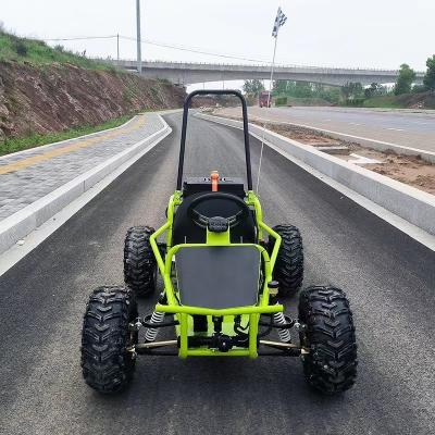 China 1000W Powerful Motors Electric Karts for Adults 2024 Model and High Grade Ability for sale