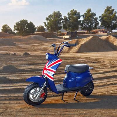 中国 DISC ブレーキ 49cc ガソリン駆動 ミニダートバイク 子供の屋外楽しみのために カスタマイズされた色で 販売のため