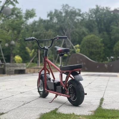 China Model Racing Games Bicycle for Boys Customized Colors 300W Motor Power Wholesal for sale