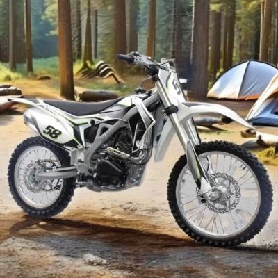 Chine Une moto de 250cc supportée personnalisée Enduro avec une cylindrée de 200-400cc à vendre