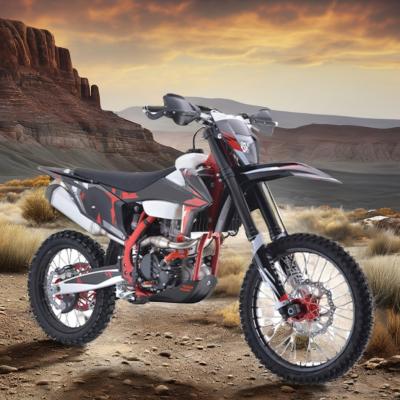 China Aotong Motor Pit Bike Dirt Bike Pocket Bike Moto Cross Motor de 300cc con motor de suministro y disco de freno en venta