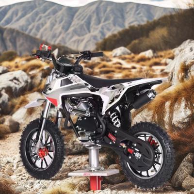 China Customzied Supported Colors 60CC Engine 4 Stroke Children's Dirt Bike with DISC Brake for sale