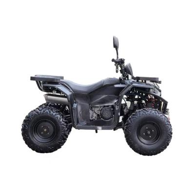 China 150cc Engine Customized Steel Tube Automatic Atv Utv Parts Accessories for Two People for sale