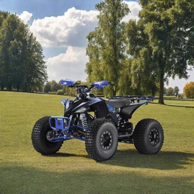 Cina 600-1000mm Wheelbase 1500W 1000W ATV Quad Bike Buggy UTV 1500W Driving Mileage 30-50km in vendita