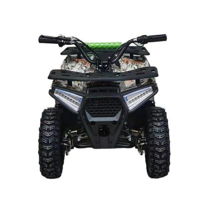 China Powerful 125cc Gasoline Adult ATV Quad Bike with 12V Voltage and Curb Weight of 100-200kg for sale