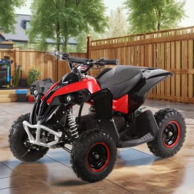 China 1000W Electric ATV Automatic Quad Bike for Off-Road Mountain Cross-Country Excursions en venta