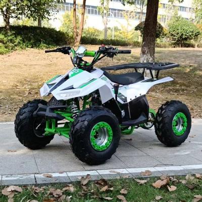 China 1250*760*800MM 110CC Displacement Kids ATV with Electric Start and Chain Drive en venta