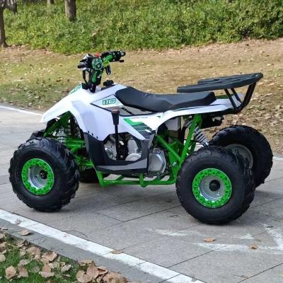 China Front Drum and Rear Disc Brake 4 Stroke Off-Road Vehicle with Chain Drive Transmission en venta