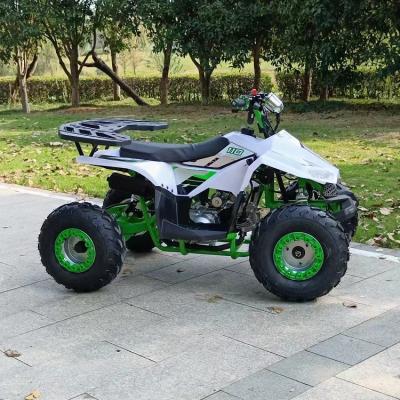 China 50Cc 70Cc 90Cc 125cc Displacement Child Squad Quad ATV for Offroad Adventures en venta