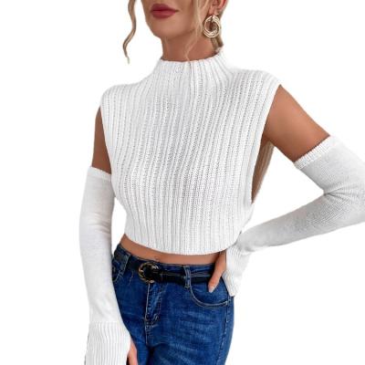 China Autumn Hot Sale Temperament Sweater Anti-Wrinkle High Neck Knitted Vest Women Sleeveless Sweater Sweaters for sale