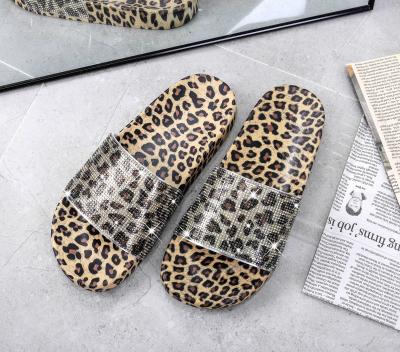 China CUSHIONING 2021 Hot Selling INS Clear Flat Slipper Sandals For Women Clear Leopard Slippers Slides for sale