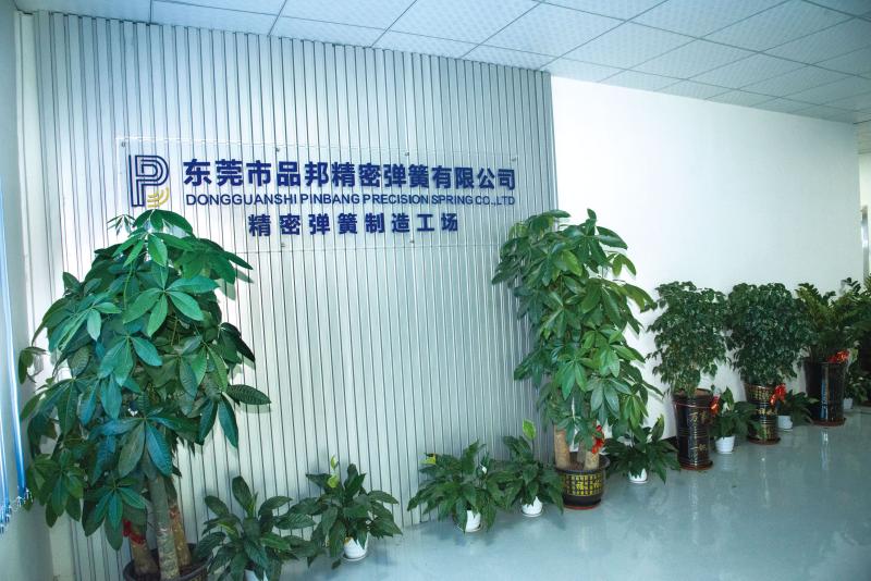 Verified China supplier - Dongguan Pinbang Precision Spring Co., Ltd.