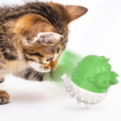 China New design electric toothbrush cat toy electric toothbrush toy design viable explosive hot-selling cat cat funny ball for sale