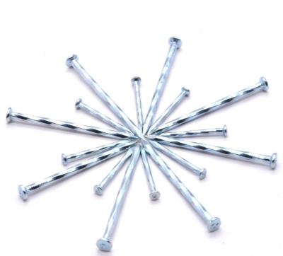 China Spiral Steel Galvanized Construction Concrete Nails Common Iron Nail for sale