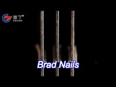 Exterior Brad Nails Flat Head ST Concrete Nail 6mm Electro Galvanized