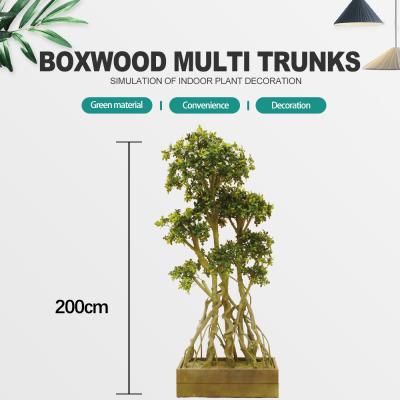 China Da planta por atacado da decoração da árvore do buxo de China bonsais artificiais da árvore do buxo para a decoração à venda