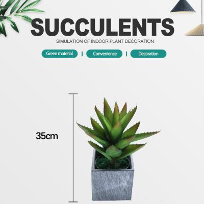 China Plastic Artificial Plants Succulents Wedding Indoor Decorative for sale