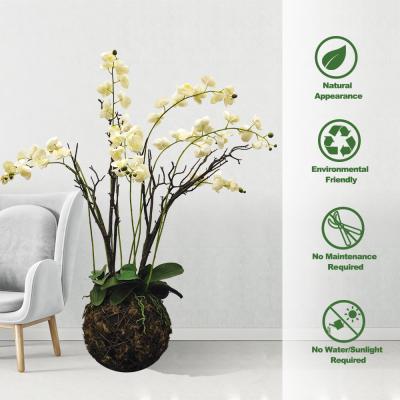 China High Simulation 56cm Artificial Butterfly Orchid Flower Plant 6 Colors for sale