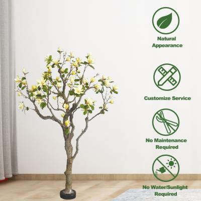 China Dorm Room Ornamental Artificial Potted Floor Plants Magnolia Tree for sale