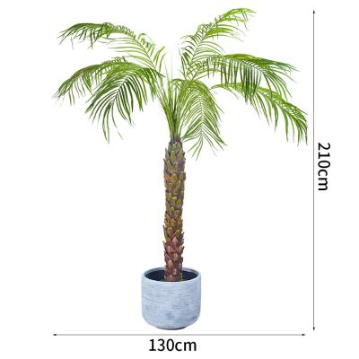 China 190cm Artificial Plants Phoenix Palm Tree Evergreen Indoor Palm Tree Rainstorm Style Palm Tree for sale