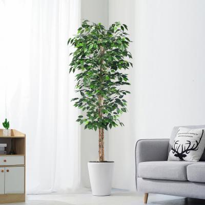 China Flame Retardant H180cm Artificial Ficus Plant , Ficus Fake Tree Natural Look for sale