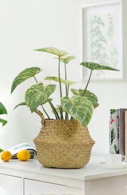 China Ornamental Small Items Artificial Potted Floor Plants Philodendron Birkin for sale