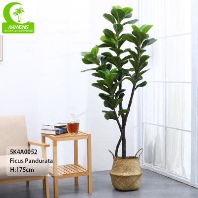 China Flame Retardant Height 155cm Aesthetic Artificial Ficus Lyrata With Pot for sale