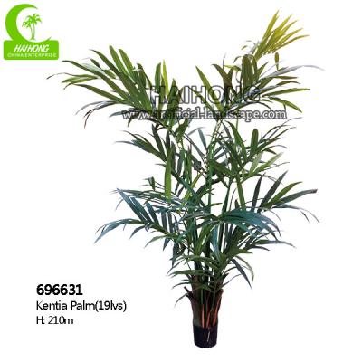 China H210cm Artificial Tropical Tree , Artificial Kentia Palm Tree For Indoor Decoration for sale