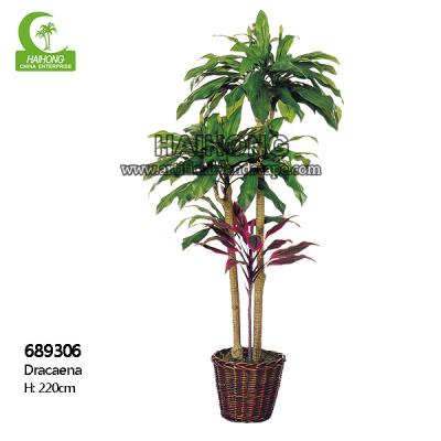 China Wholesale Stunning 220cm Artificial Dracaena Tree Space Decor For Indoor Decoration for sale