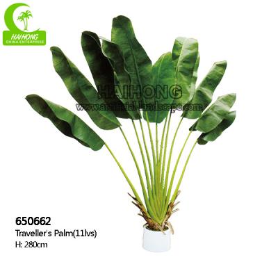 China Beautiful 280cm Artificial Traveller's Palm Large Size Plant Garden Landscaping And Indoor Decor for sale