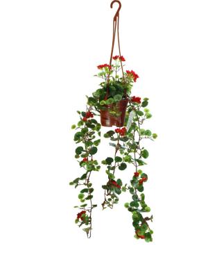 Cina Alta simulazione che appende 60cm Begonia Plants Lifelike artificiale in vendita