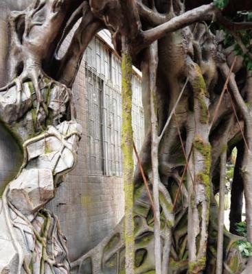 Chine Fibre de verre adaptée aux besoins du client GRC aménageant le faux arbre en parc pour l'aéroport de jardin à vendre