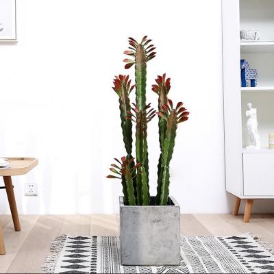 China Custom Cactus Ornaments Bonsai Artificial Succulent Plant for sale