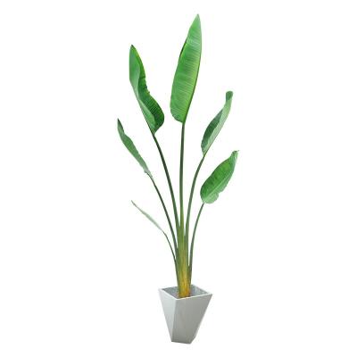 China Eco Friendly Artificial Potted Floor Plants PU Traveler Banana Palm Bonsai Ornament for sale