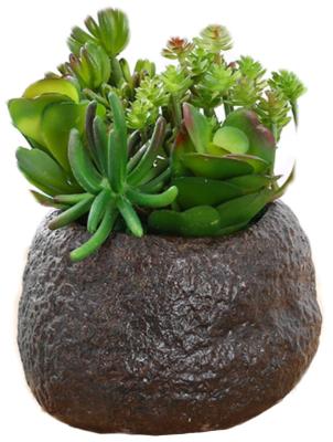 China ODM Silver Color Artificial Succulent Plants For Home Desk for sale