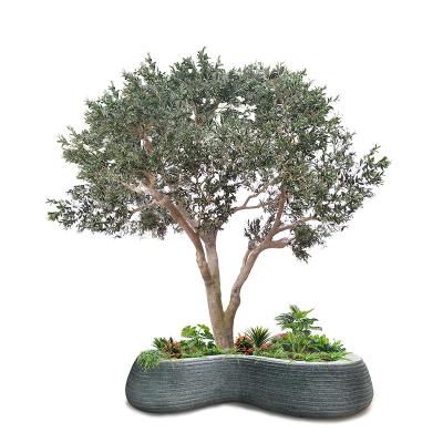 China Kundenspezifische Fiberglas-Olive Artificial Landscape Trees Garden-Dekoration zu verkaufen