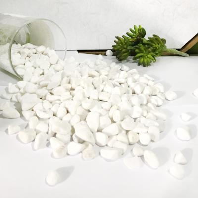 China Flower Gultivation Hydroponic Paving Small Stones Pebbles Ceramsite for sale