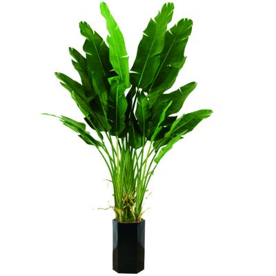 China Anti - Fading Plastic Artificial Landscape Trees Potted Bird Of Paradise for sale