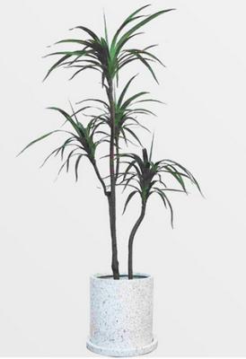 China Plastic Artificial Potted Floor Plants Indoor Evergreen Dragon Blood Trees for sale